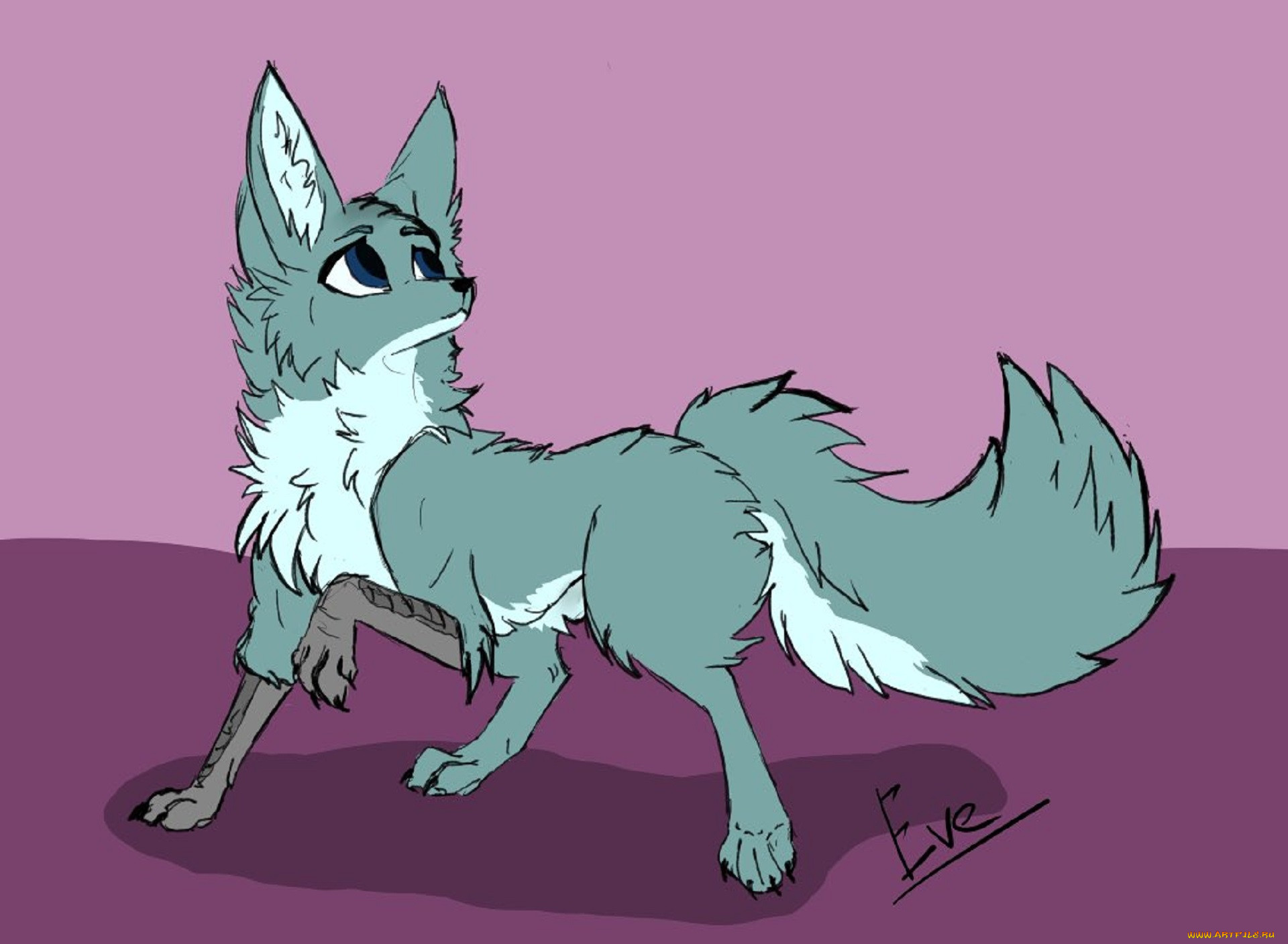 , ,  , , fox